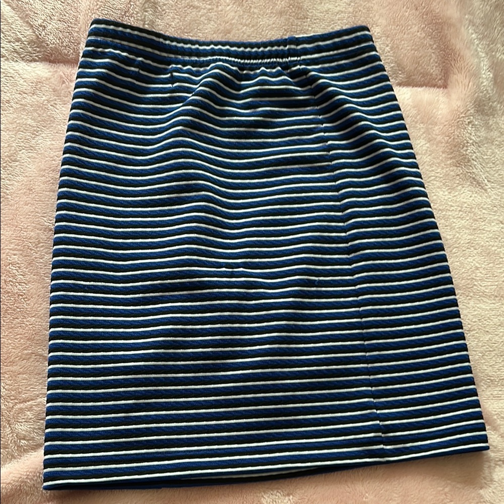 Striped Blue and White Skirt